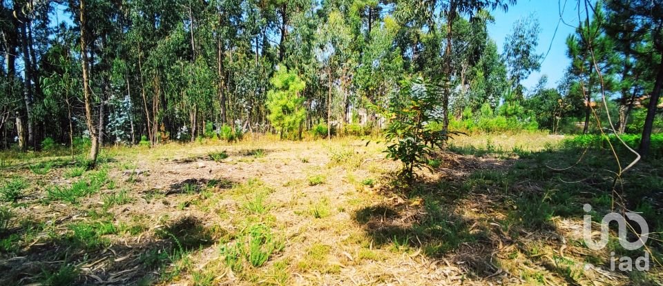 Land in Campos e Vila Meã of 1,220 m²