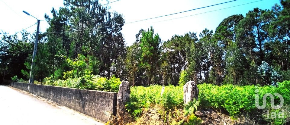 Land in Campos e Vila Meã of 1,220 m²