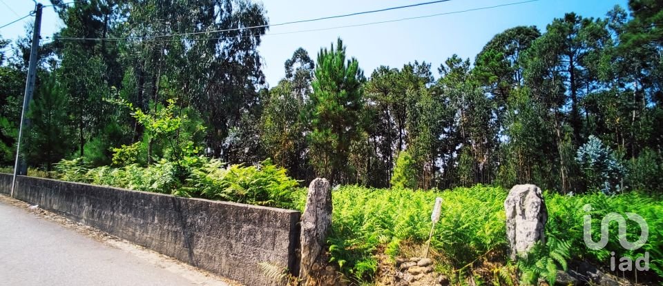 Land in Campos e Vila Meã of 1,220 m²