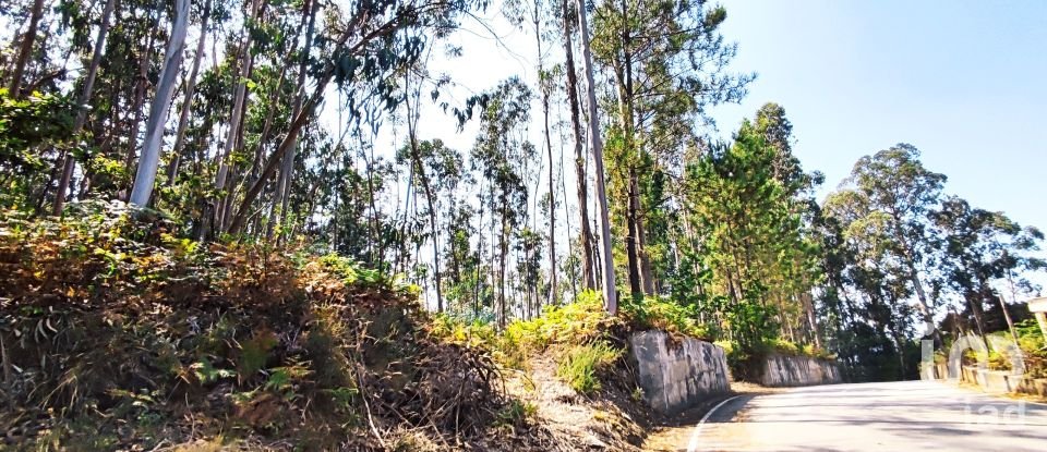 Land in Campos e Vila Meã of 1,220 m²