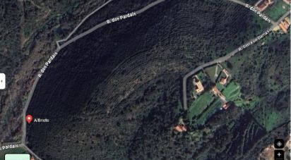 Land in Carvoeira of 2,188 m²