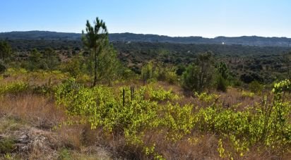 Terreno em Areias e Pias de 17 000 m²