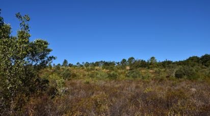 Terreno em Areias e Pias de 17 000 m²