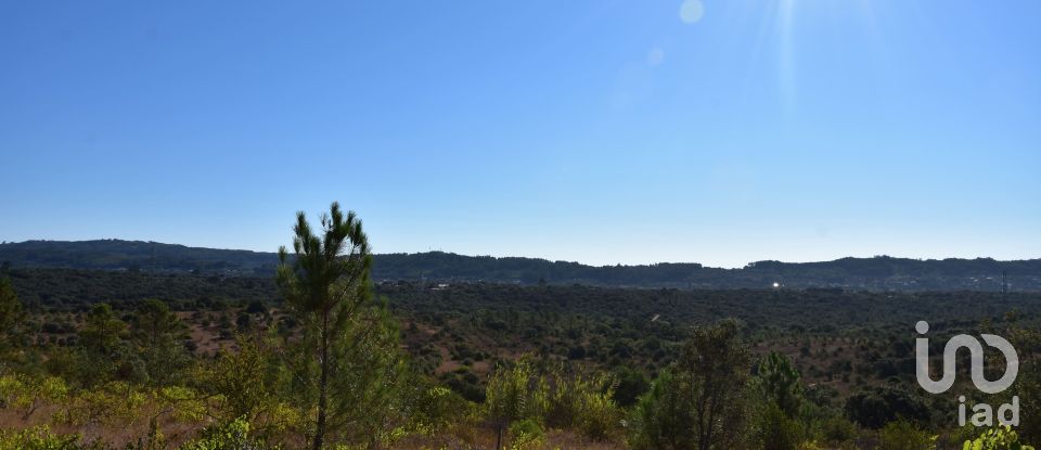 Land in Areias e Pias of 17,000 m²