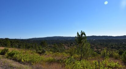 Terreno em Areias e Pias de 17 000 m²