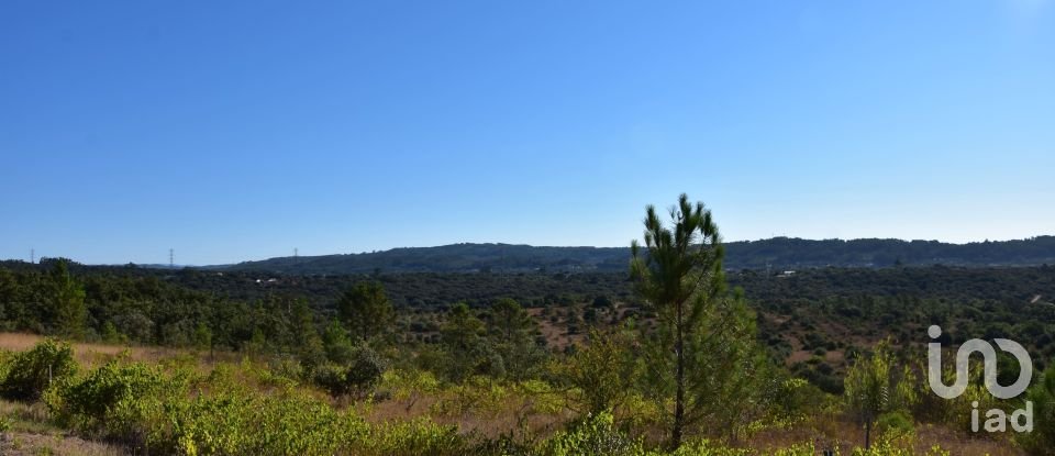 Land in Areias e Pias of 17,000 m²