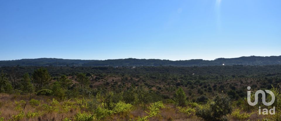 Terreno em Areias e Pias de 17 000 m²