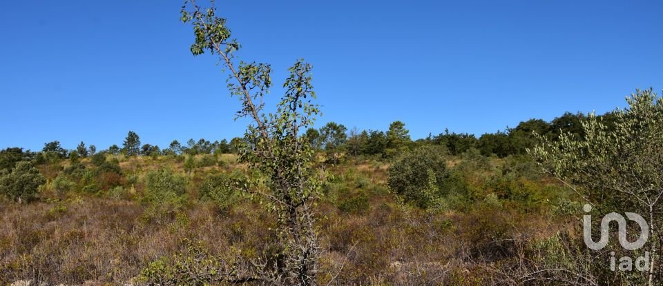 Land in Areias e Pias of 17,000 m²