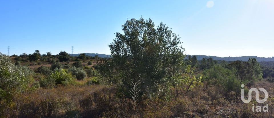 Terrain à Areias e Pias de 17 000 m²