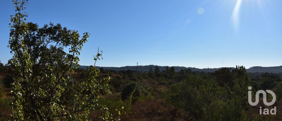 Land in Areias e Pias of 17,000 m²