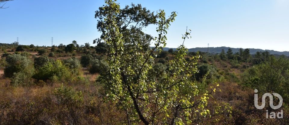 Land in Areias e Pias of 17,000 m²