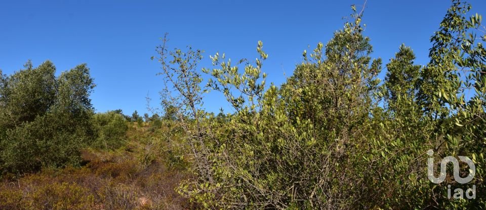 Terreno em Areias e Pias de 17 000 m²