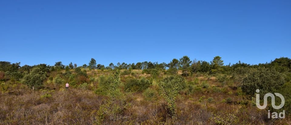 Land in Areias e Pias of 17,000 m²