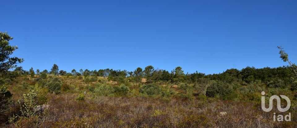 Land in Areias e Pias of 17,000 m²