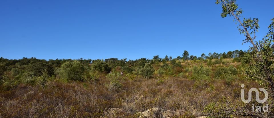 Land in Areias e Pias of 17,000 m²