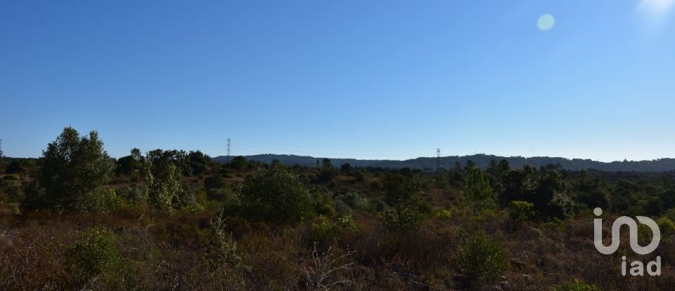 Land in Areias e Pias of 17,000 m²