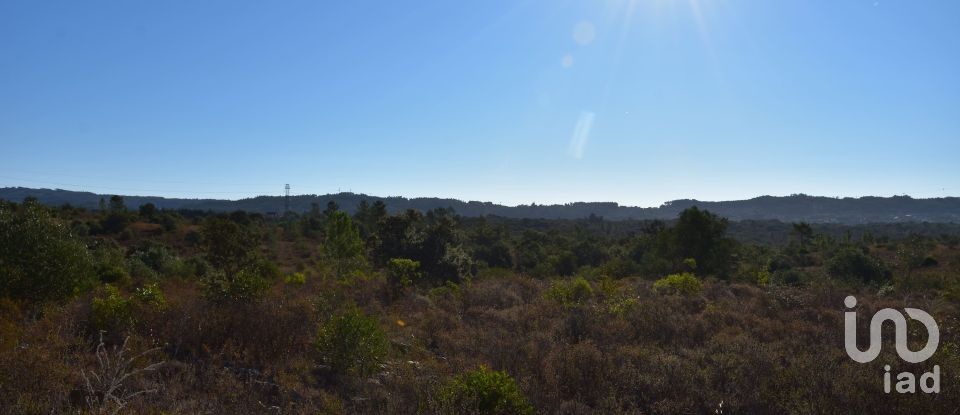 Land in Areias e Pias of 17,000 m²