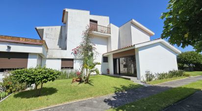 Casa tradicional T4 em Perre de 180 m²