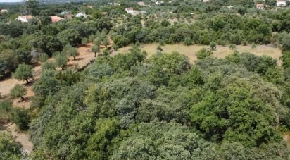 Land in Areias e Pias of 2,930 m²