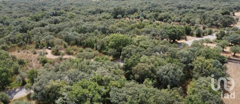 Terreno em Areias e Pias de 2 930 m²