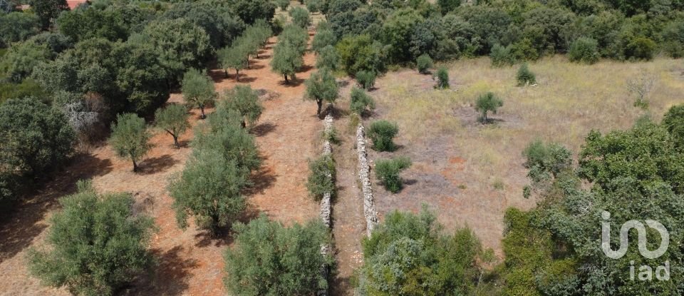 Terreno em Areias e Pias de 2 930 m²