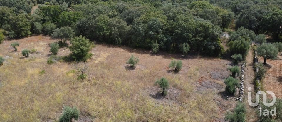 Land in Areias e Pias of 2,930 m²