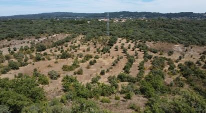 Land in Areias e Pias of 17,000 m²