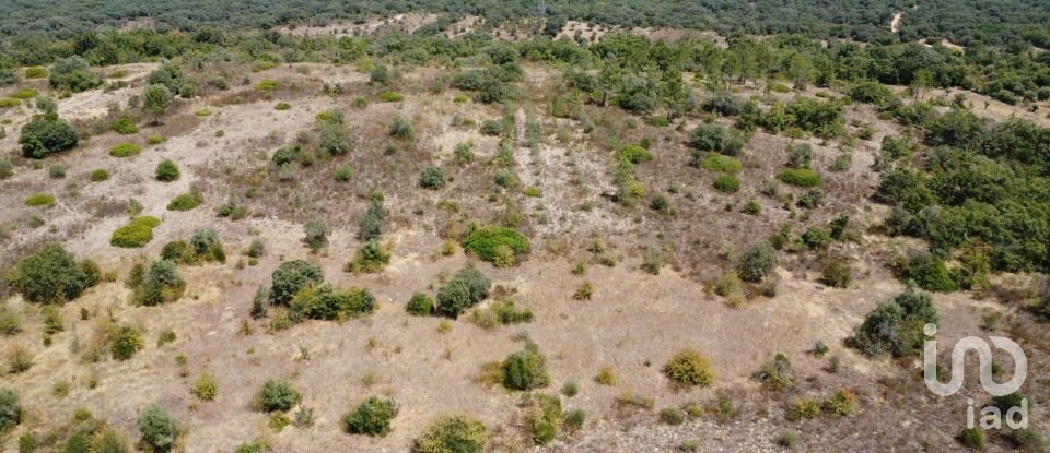 Land in Areias e Pias of 17,000 m²