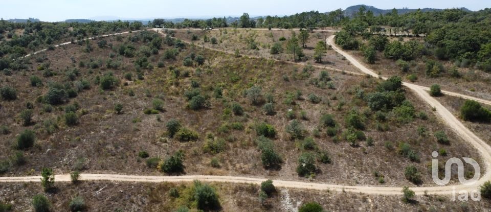 Land in Areias e Pias of 17,000 m²