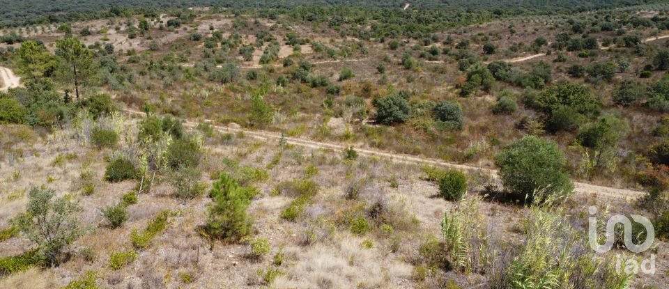 Land in Areias e Pias of 17,000 m²