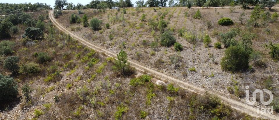 Terrain à Areias e Pias de 17 000 m²