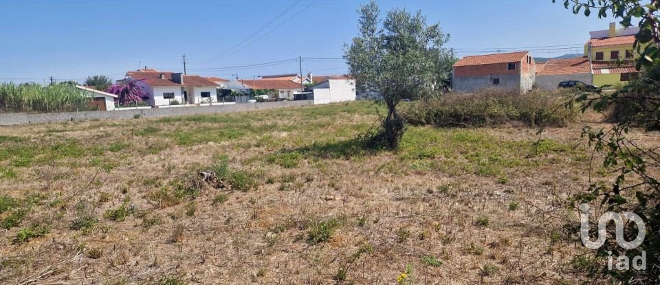 Terreno em Porto de Mós - São João Baptista e São Pedro de 4 280 m²