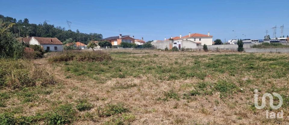 Terreno em Porto de Mós - São João Baptista e São Pedro de 4 280 m²