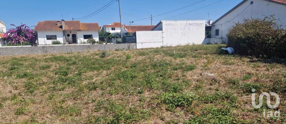 Terreno em Porto de Mós - São João Baptista e São Pedro de 4 280 m²