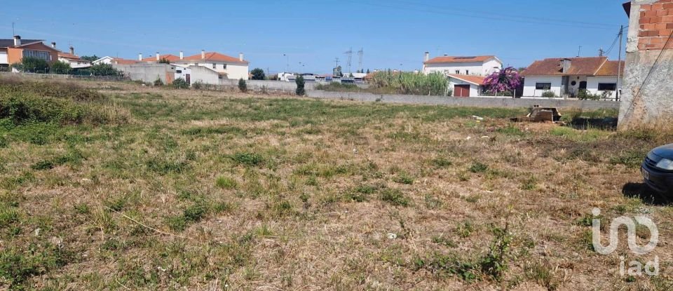 Terrain à Porto de Mós - São João Baptista e São Pedro de 4 280 m²