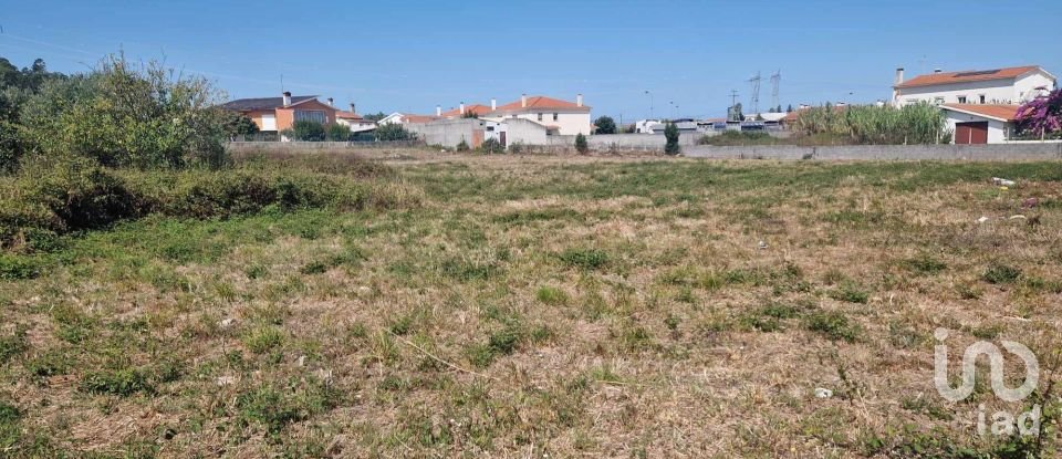 Terreno em Porto de Mós - São João Baptista e São Pedro de 4 280 m²