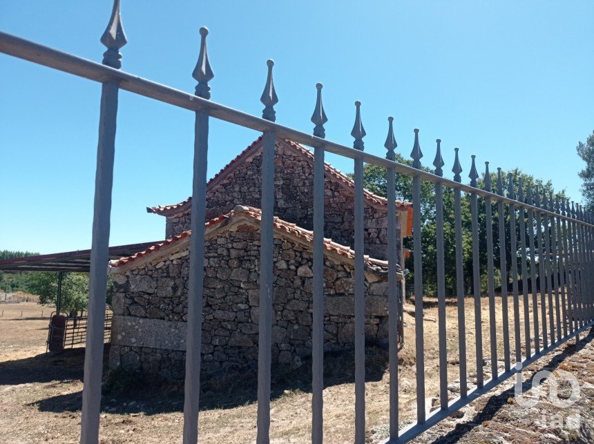 Terreno em Vila Nova de Paiva, Alhais e Fráguas de 10 000 m²