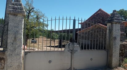 Land in Vila Nova de Paiva, Alhais e Fráguas of 10,000 m²