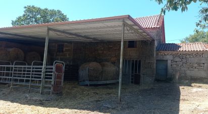 Terreno em Vila Nova de Paiva, Alhais e Fráguas de 10 000 m²