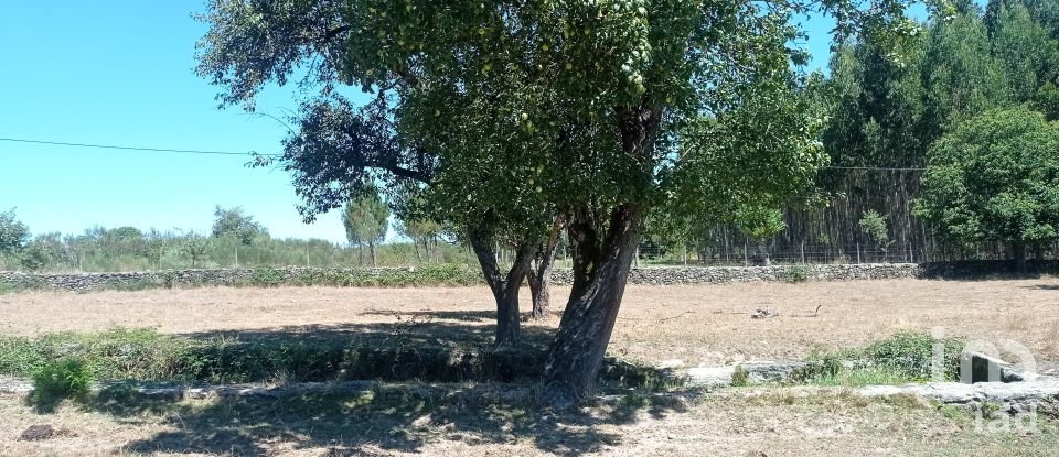 Terreno em Vila Nova de Paiva, Alhais e Fráguas de 10 000 m²