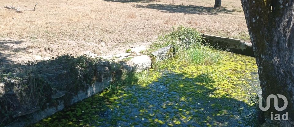 Terreno em Vila Nova de Paiva, Alhais e Fráguas de 10 000 m²