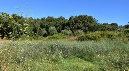 Terreno em Areias e Pias de 1 000 m²