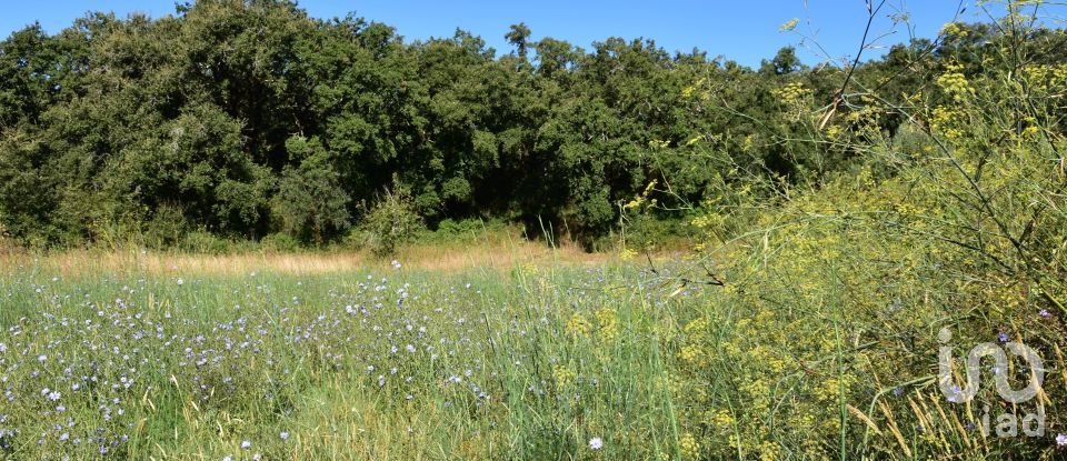 Terreno em Areias e Pias de 1 000 m²