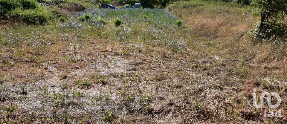 Terreno em Areias e Pias de 1 000 m²