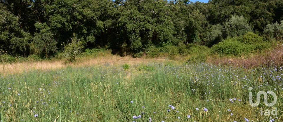 Terreno em Areias e Pias de 1 000 m²