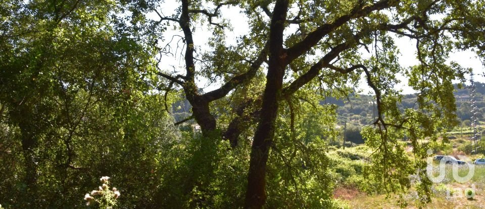 Terreno em Areias e Pias de 1 000 m²