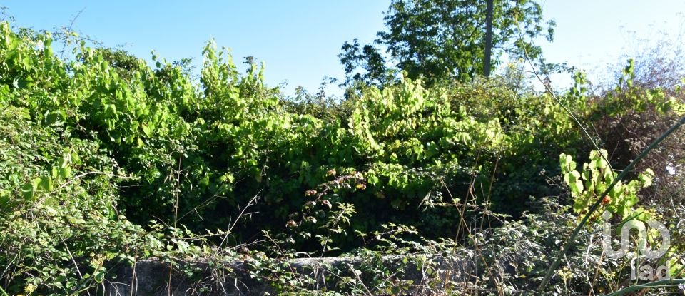 Terreno em Areias e Pias de 1 000 m²