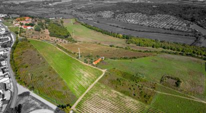 Ferme T7 à Santarém (Marvila), Santa Iria Da Ribeira De Santarém, Santarém (São Salvador) E Santarém (São Nicolau) de 1 811 m²