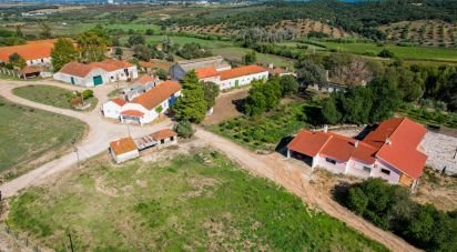 Quinta T7 em Santarém (Marvila), Santa Iria Da Ribeira De Santarém, Santarém (São Salvador) E Santarém (São Nicolau) de 1 811 m²