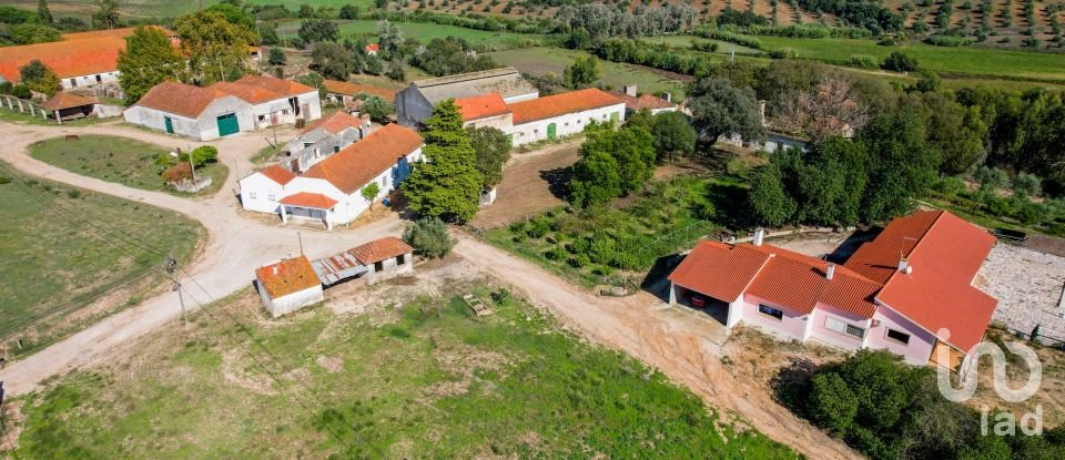 Quinta T7 em Santarém (Marvila), Santa Iria Da Ribeira De Santarém, Santarém (São Salvador) E Santarém (São Nicolau) de 1 811 m²